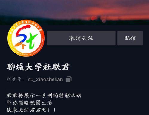 今日聊城爆料君,揭秘今日热点事件背后的真相